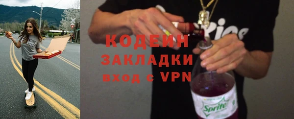 гашик Богданович