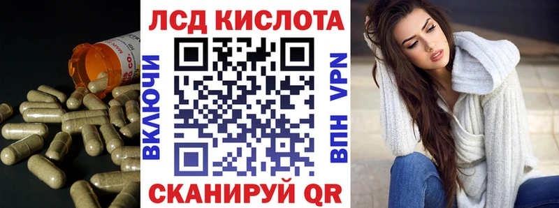 ЛСД экстази ecstasy  купить наркотики цена  Псков 
